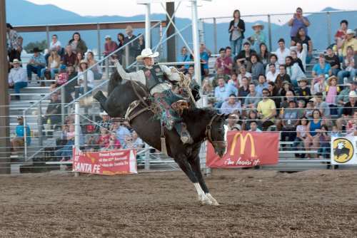 Spectators watch a rider and bucking horse at the Rodeo de Santa Fe in Santa Fe, New Mexico.