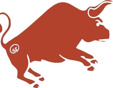 Rodeo Bull logo