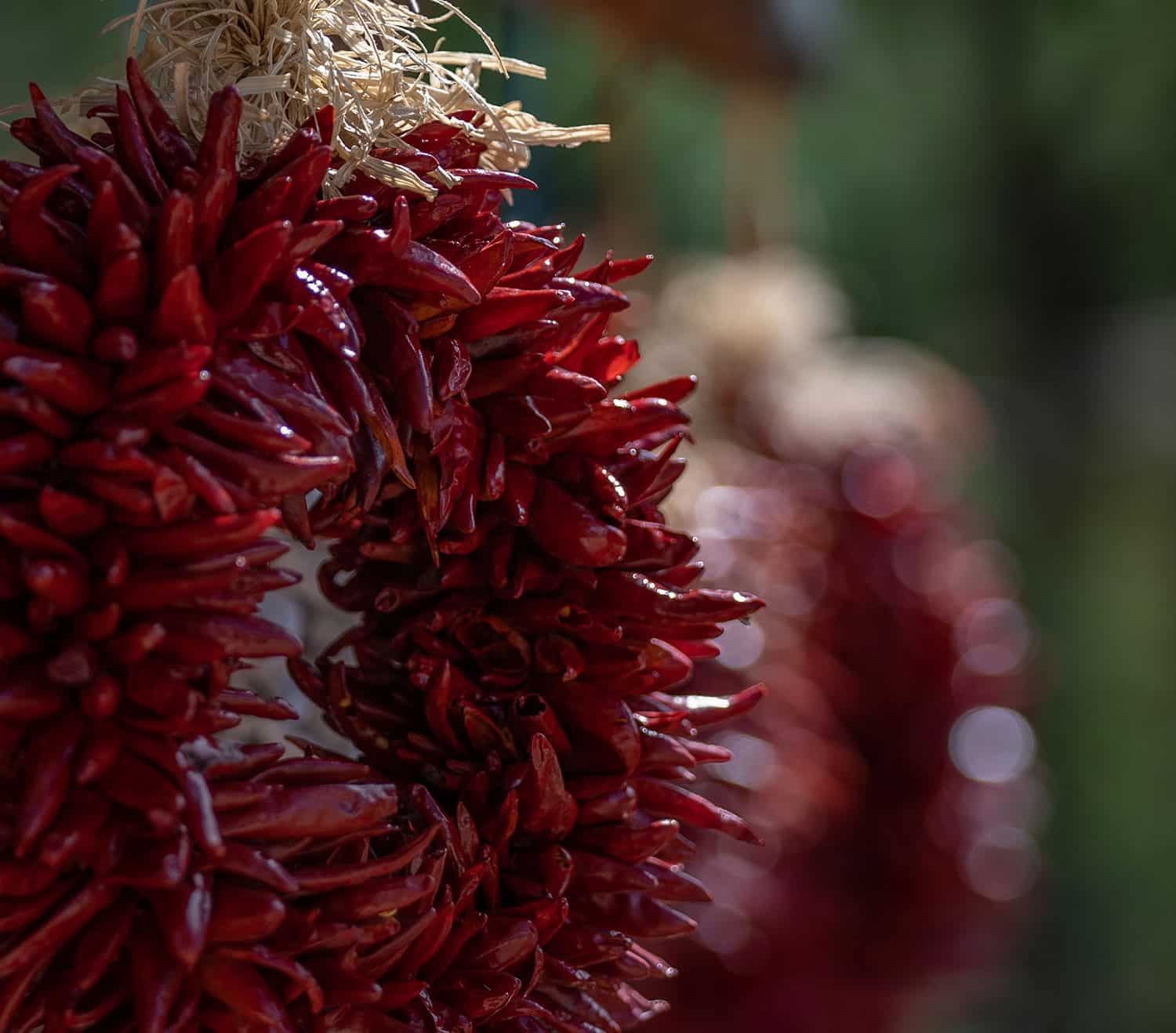 Red chile ristra wreath.
