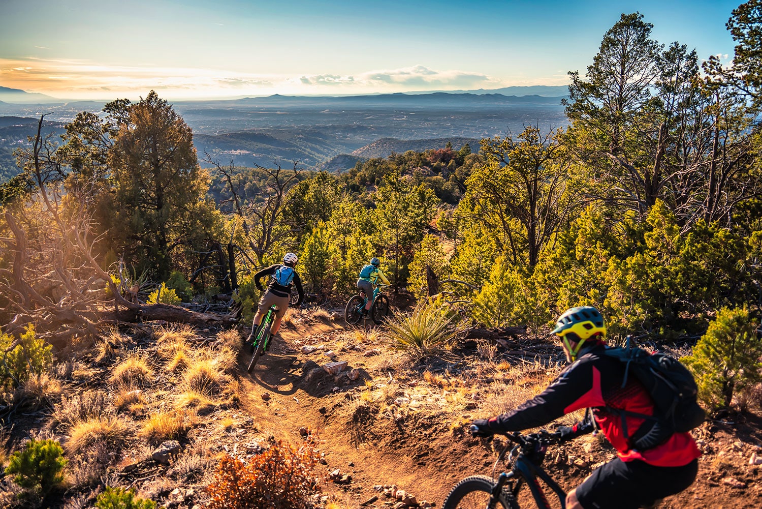 Mountain bikers riding down scenic trail